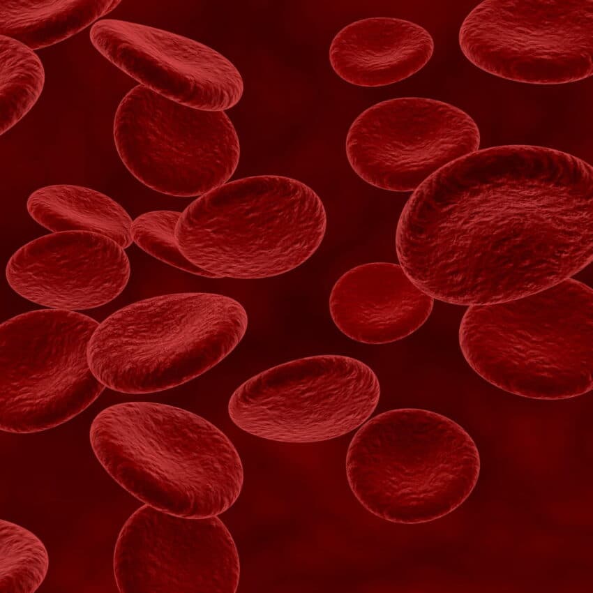 How does testosterone therapy help improve energy levels?