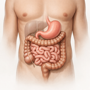 Abdominal Pain: What Your Stomach Is Telling You